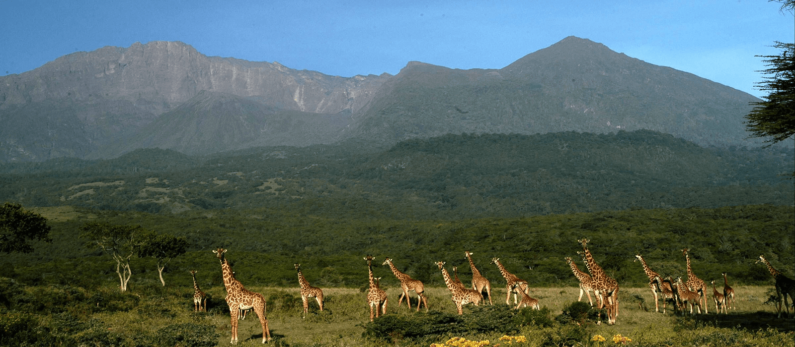 arusha-national-park by african traveler adventure