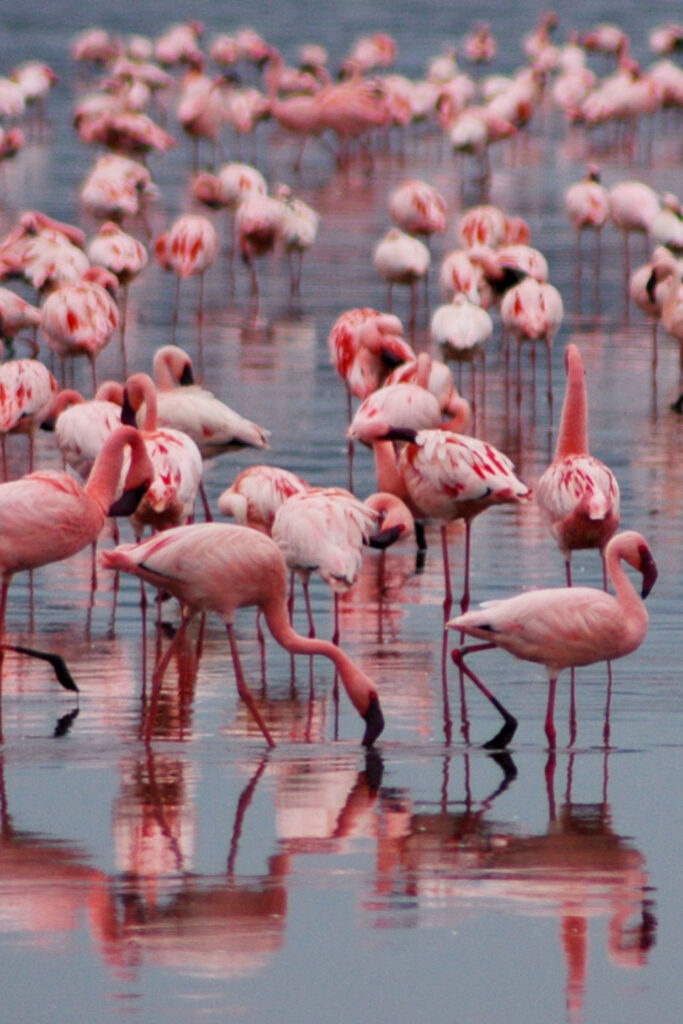 Lake Manyara