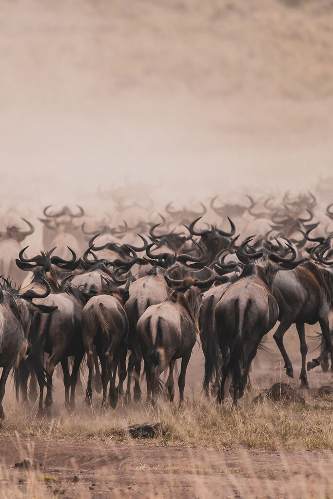 Serengeti National Park