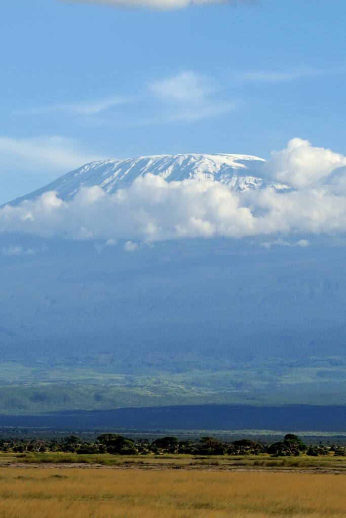 Kilimanjaro