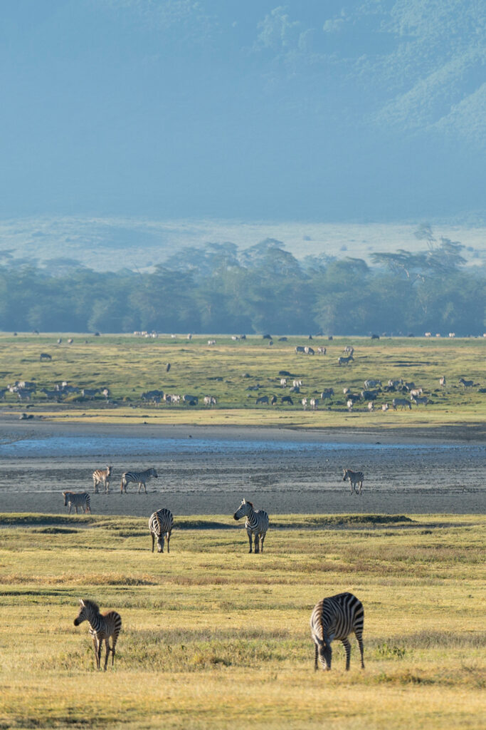 Ngorongoro Crater